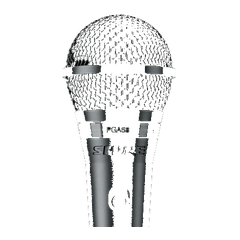 Shure PGA58